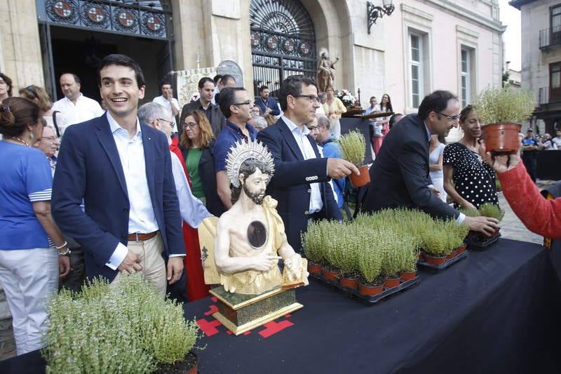 Reparto de tomillo bendecido en Palencia para honrar a San Juan