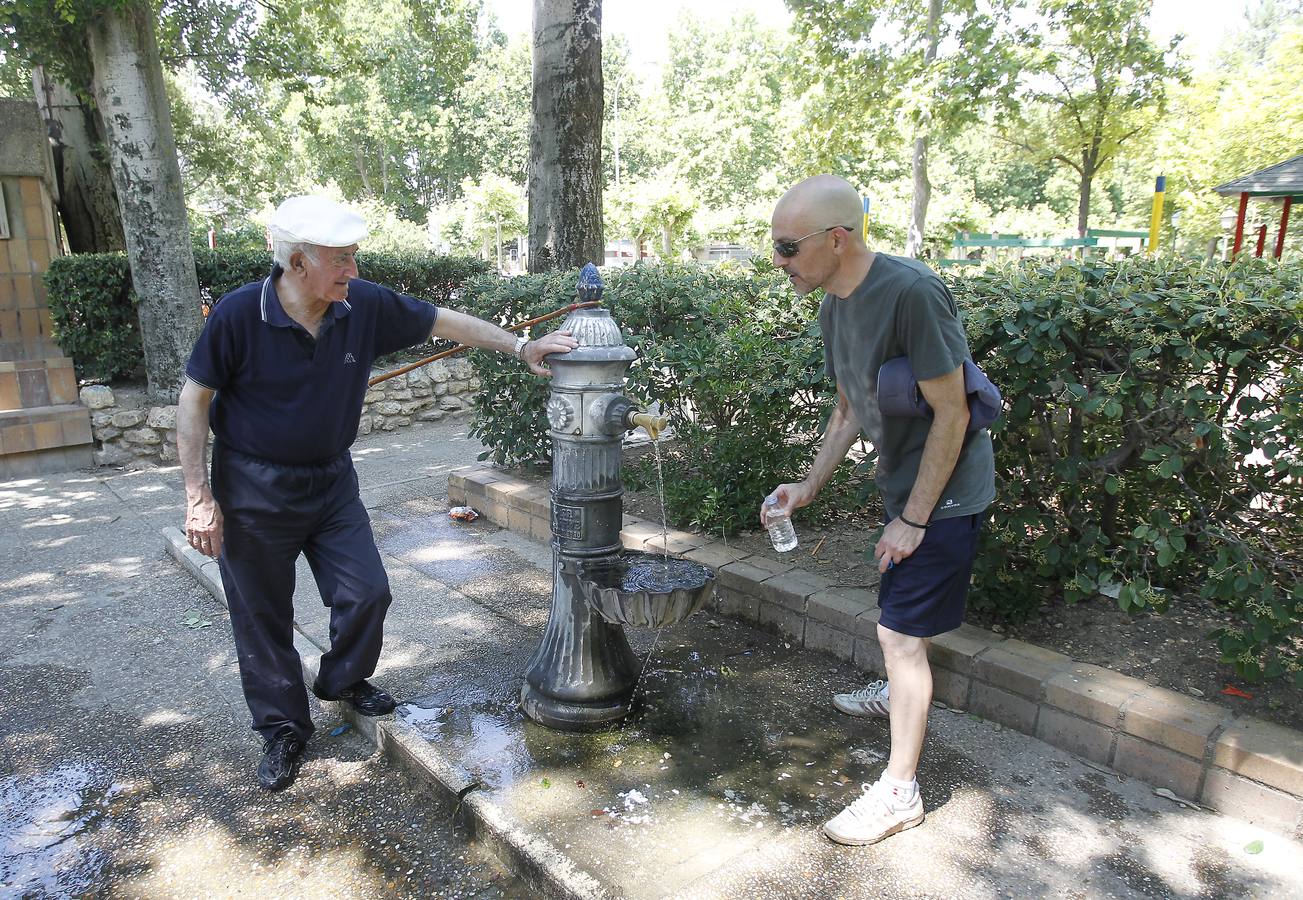 Ola de calor en Palencia