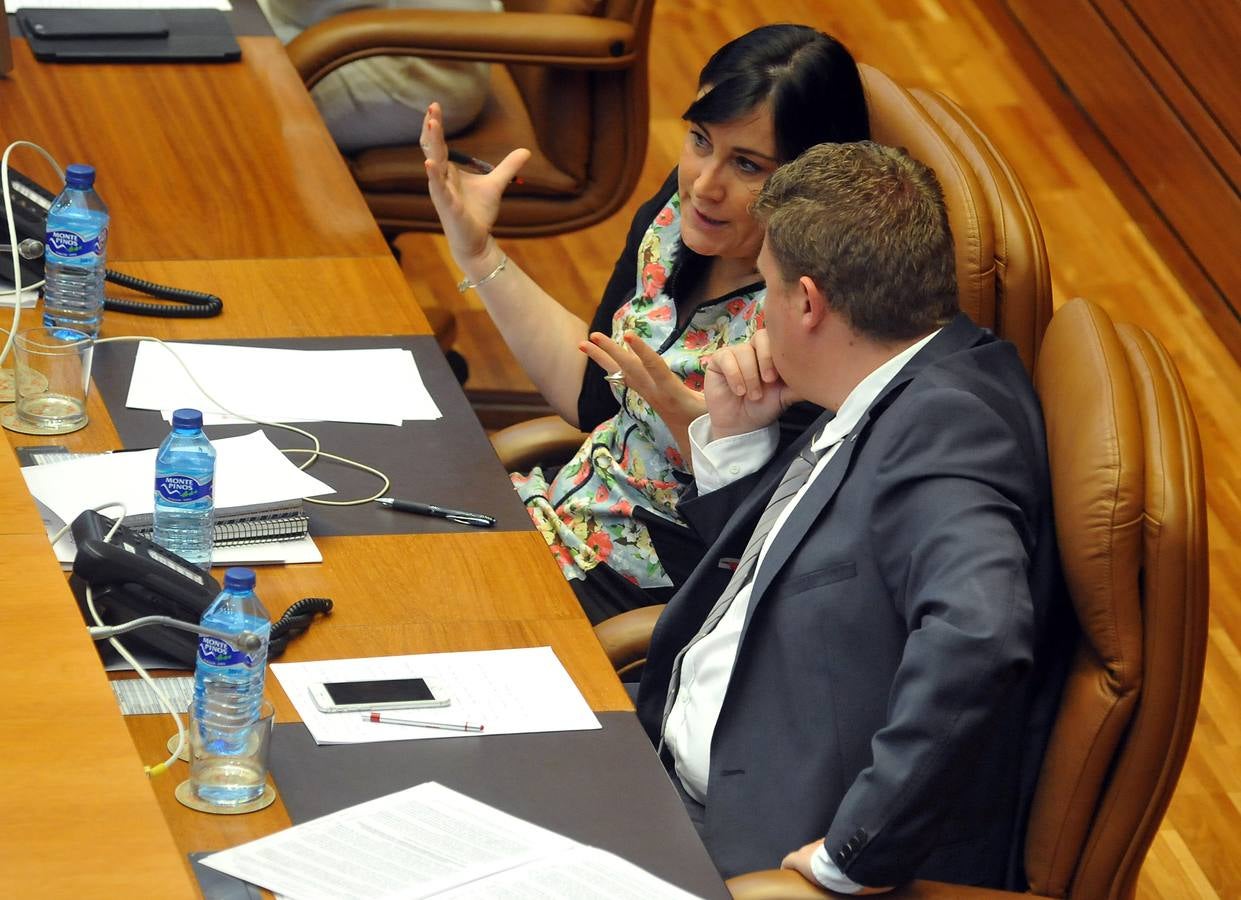 Debate de investidura del candidato a la Presidencia de la Junta de Castilla y León (1)