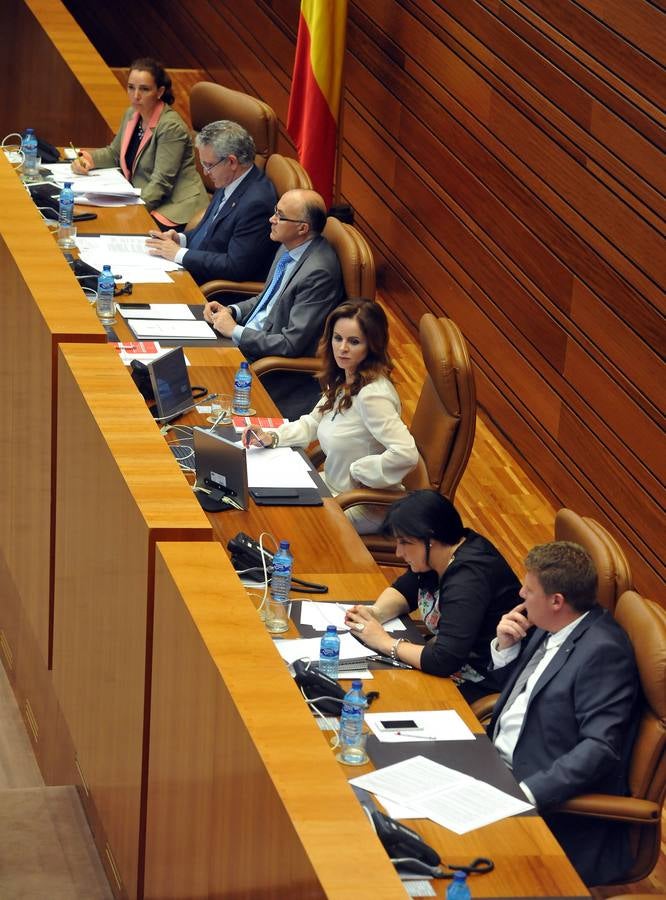 Debate de investidura del candidato a la Presidencia de la Junta de Castilla y León (1)