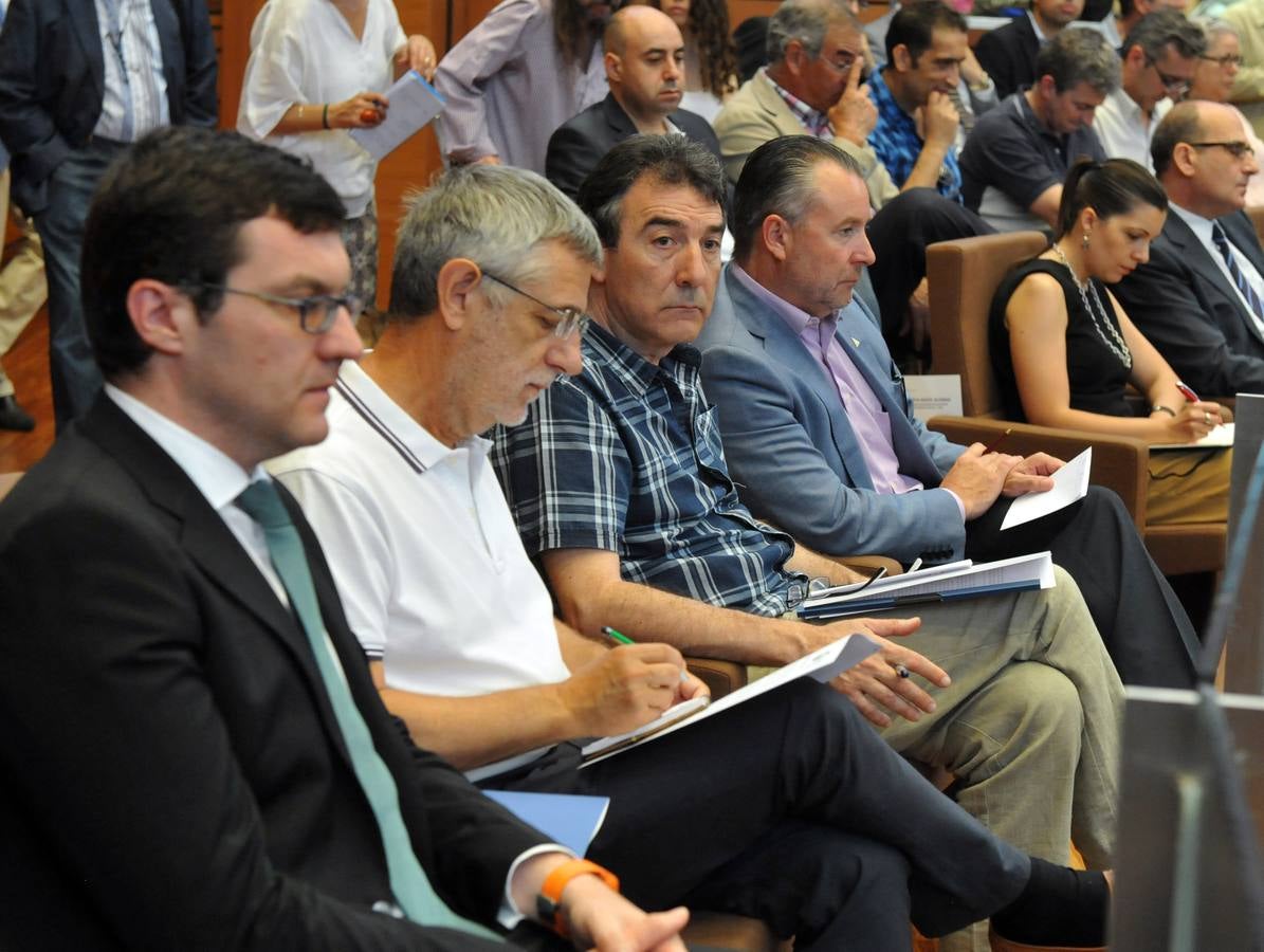 Debate de investidura del candidato a la Presidencia de la Junta de Castilla y León (2)