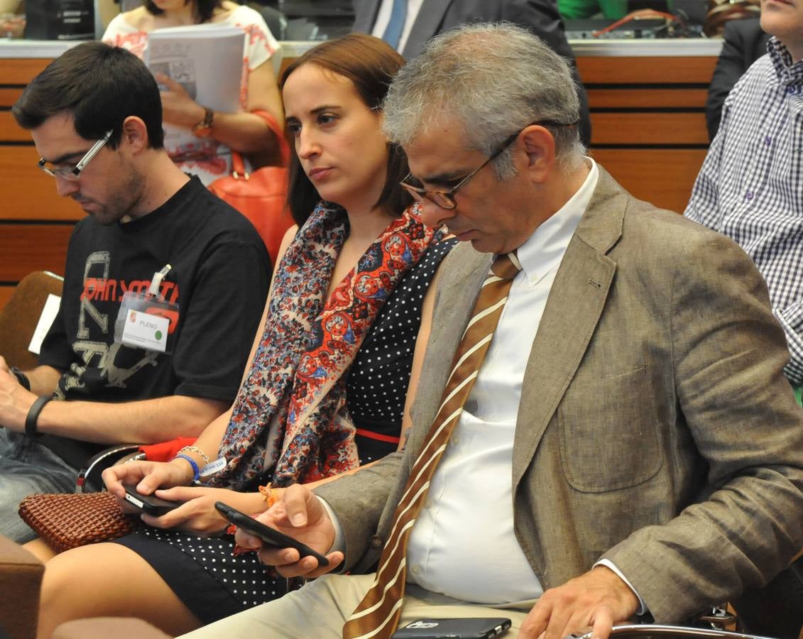 Debate de investidura del candidato a la Presidencia de la Junta de Castilla y León (2)