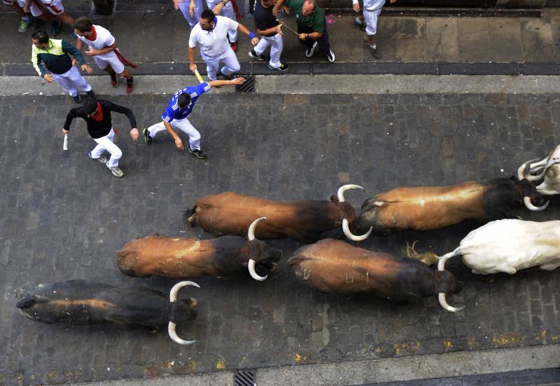 Los mosos y los toros recorren Pamplona.