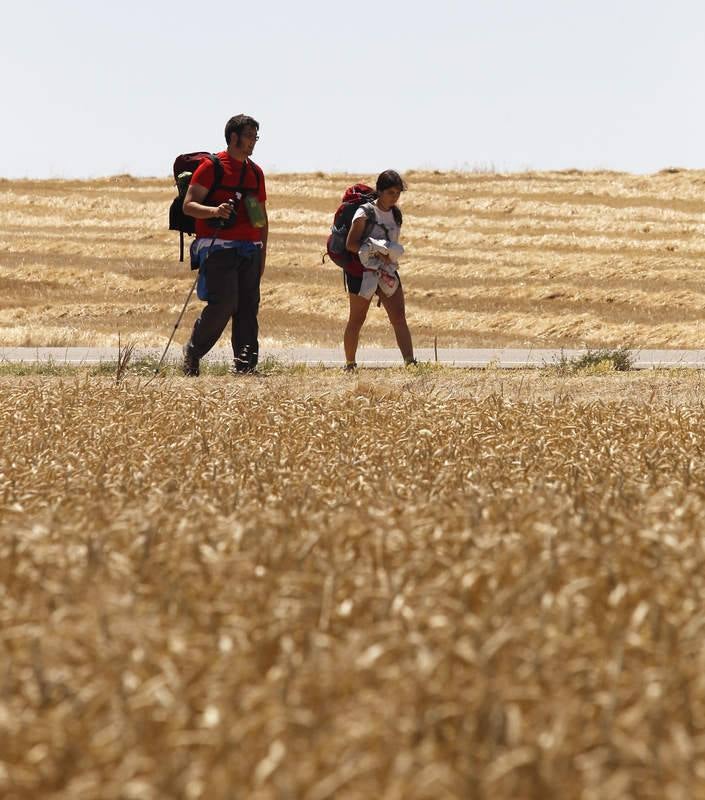 Camino de Santiago a su paso por Palencia