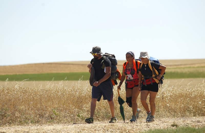 Camino de Santiago a su paso por Palencia