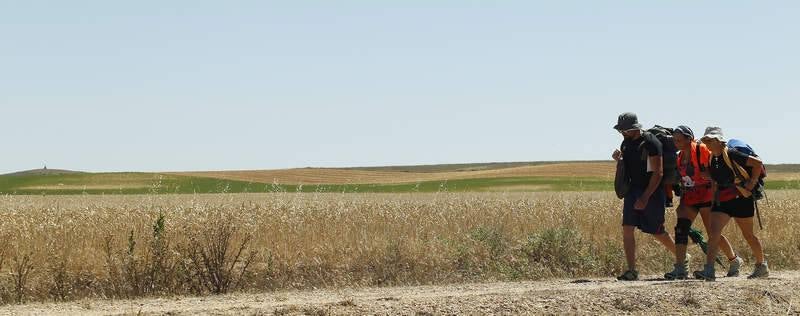 Camino de Santiago a su paso por Palencia