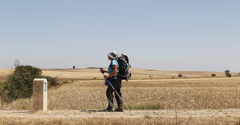 Camino de Santiago a su paso por Palencia