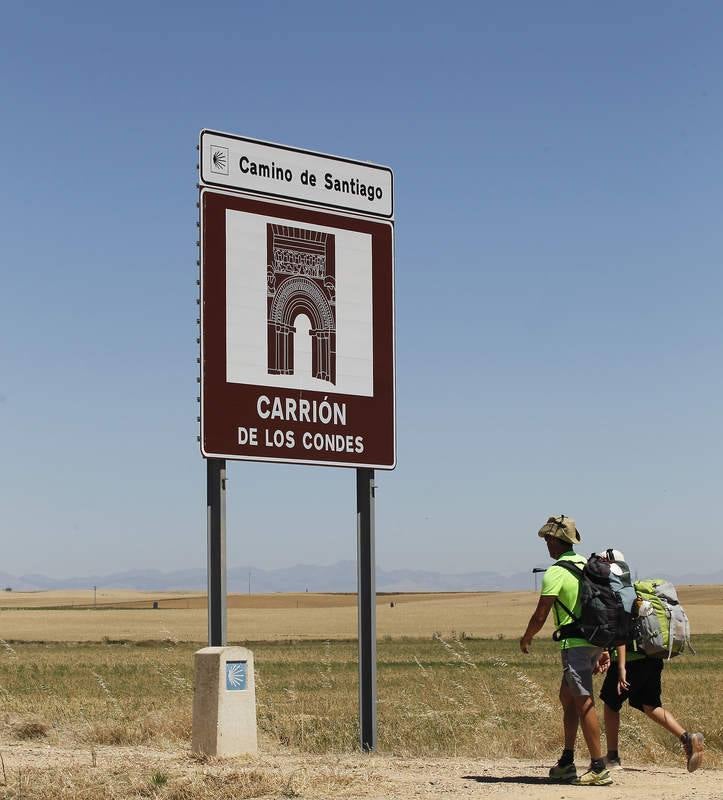 Camino de Santiago a su paso por Palencia