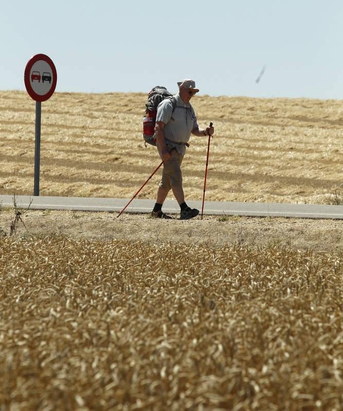 Camino de Santiago a su paso por Palencia