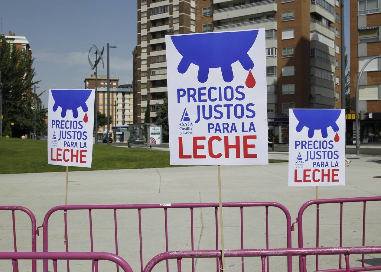 Reparto de leche en la Plaza del Milenio (Valladolid)