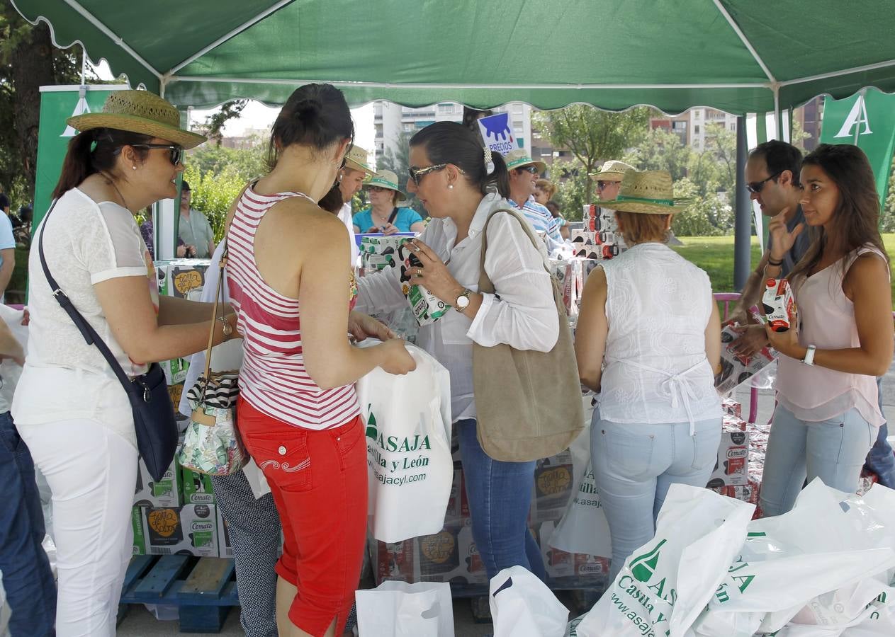 Reparto de leche en la Plaza del Milenio (Valladolid)