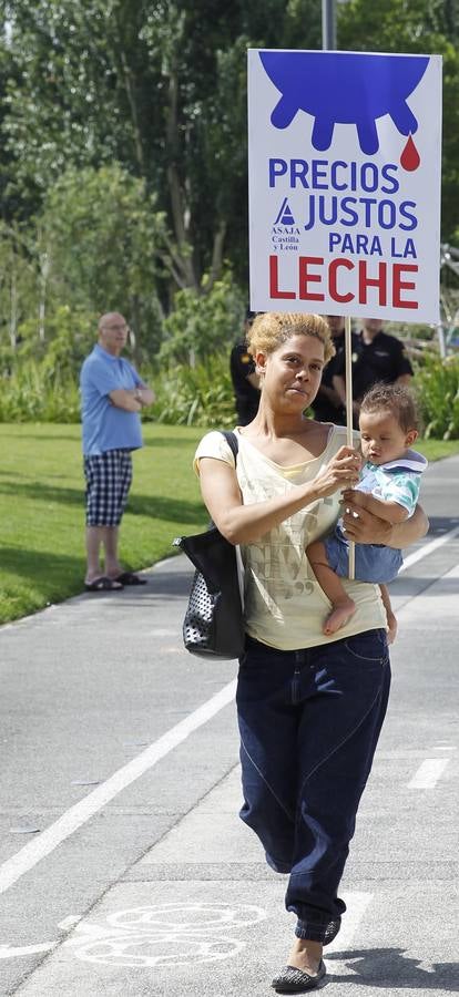 Reparto de leche en la Plaza del Milenio (Valladolid)