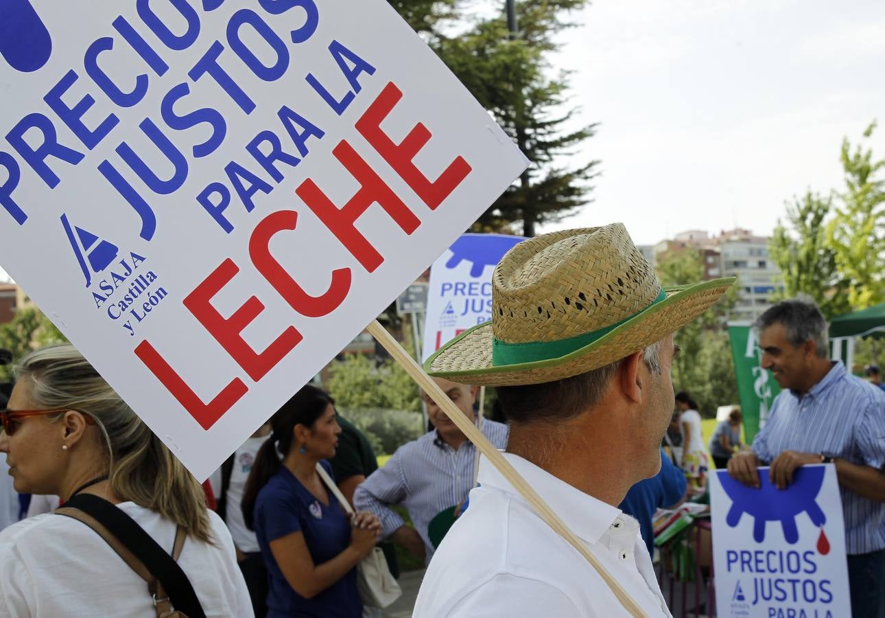 Reparto de leche en la Plaza del Milenio (Valladolid)