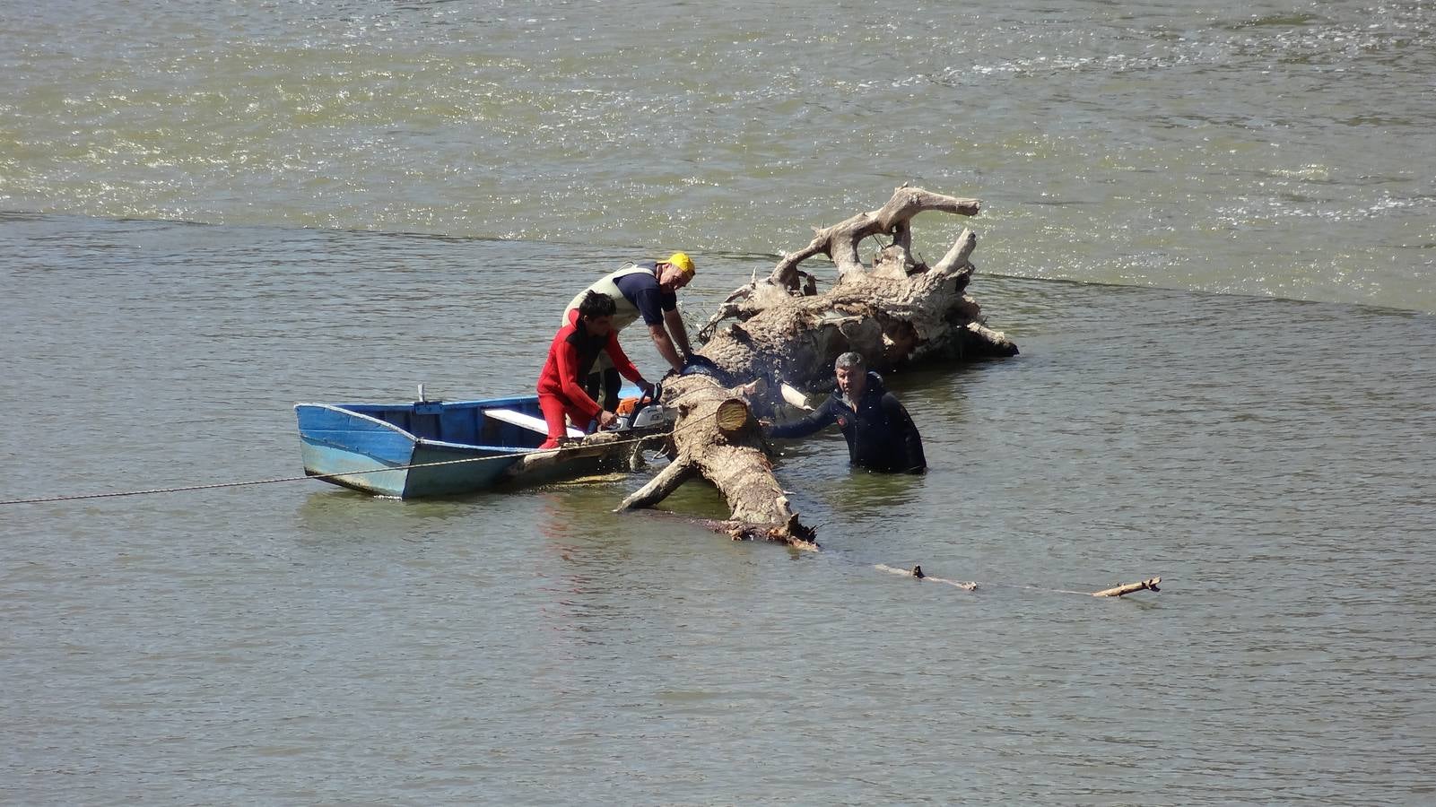 Retiran un tronco de 20 metros de la pesquera del Pisuerga en Valladolid