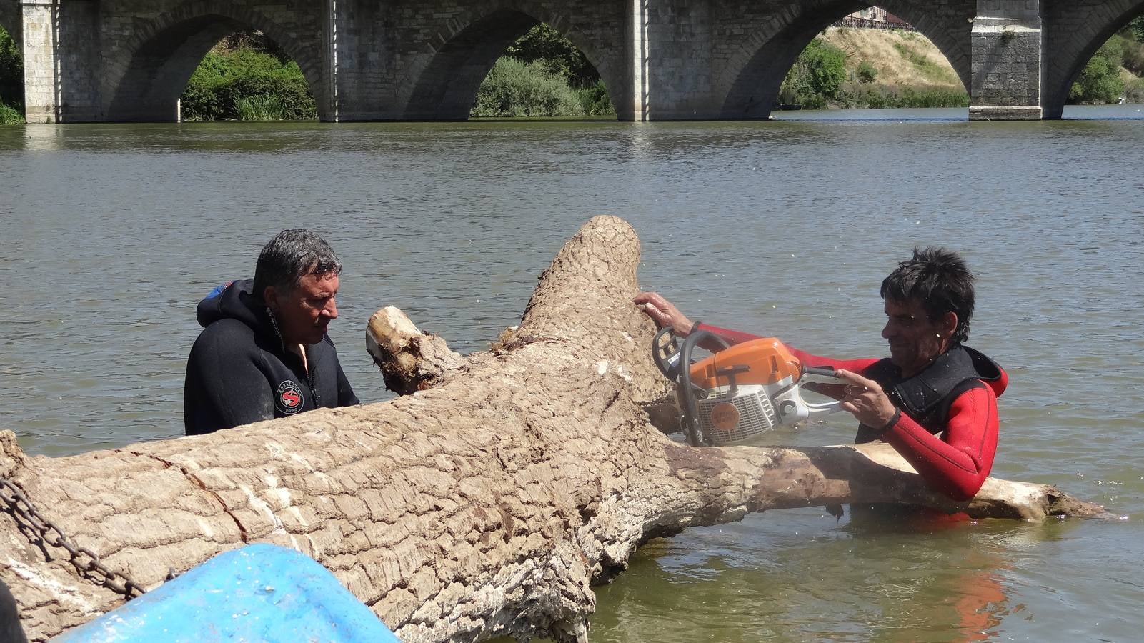 Retiran un tronco de 20 metros de la pesquera del Pisuerga en Valladolid