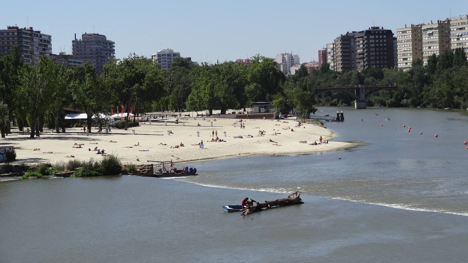 Retiran un tronco de 20 metros de la pesquera del Pisuerga en Valladolid