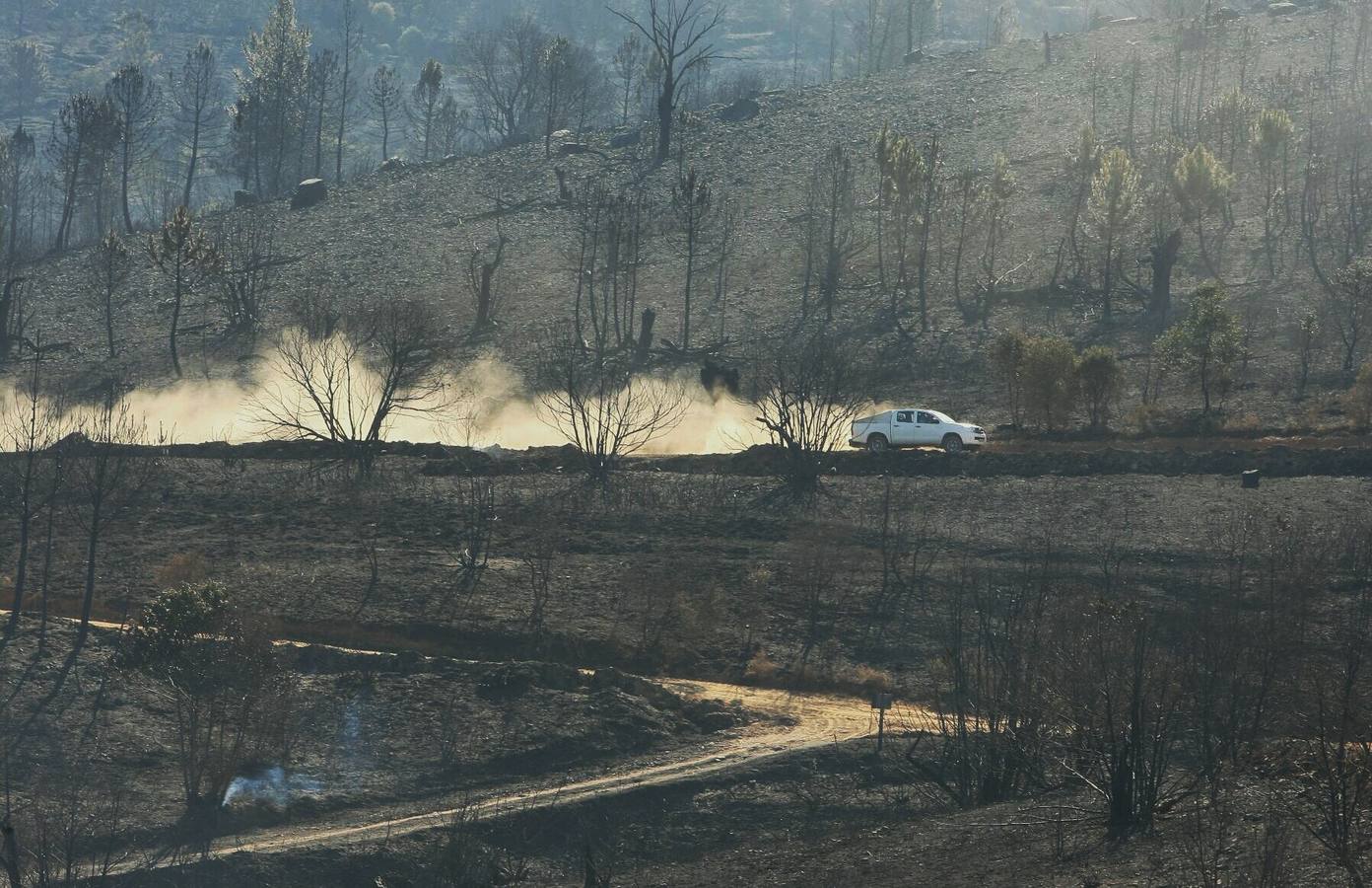 Incendio en la localidad de Vega de Espinareda (León)