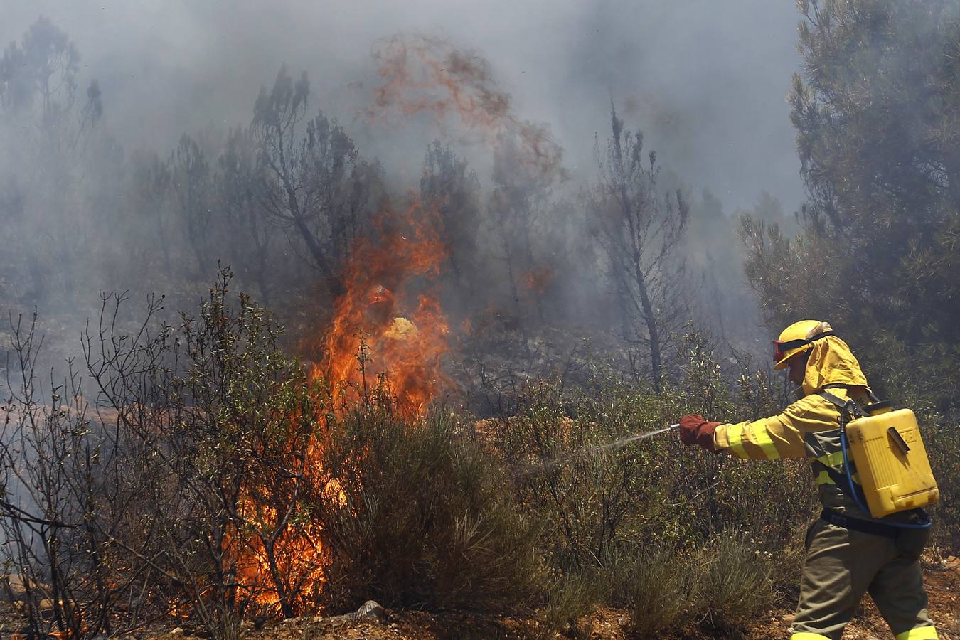 Incendio forestal en Serradilla del Llano (Salamanca)