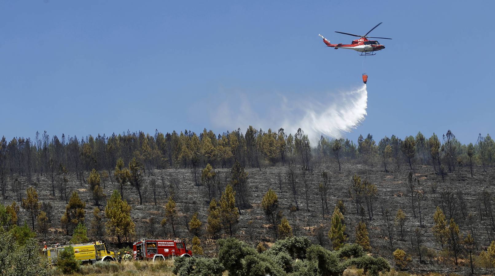 Incendio forestal en Serradilla del Llano (Salamanca)