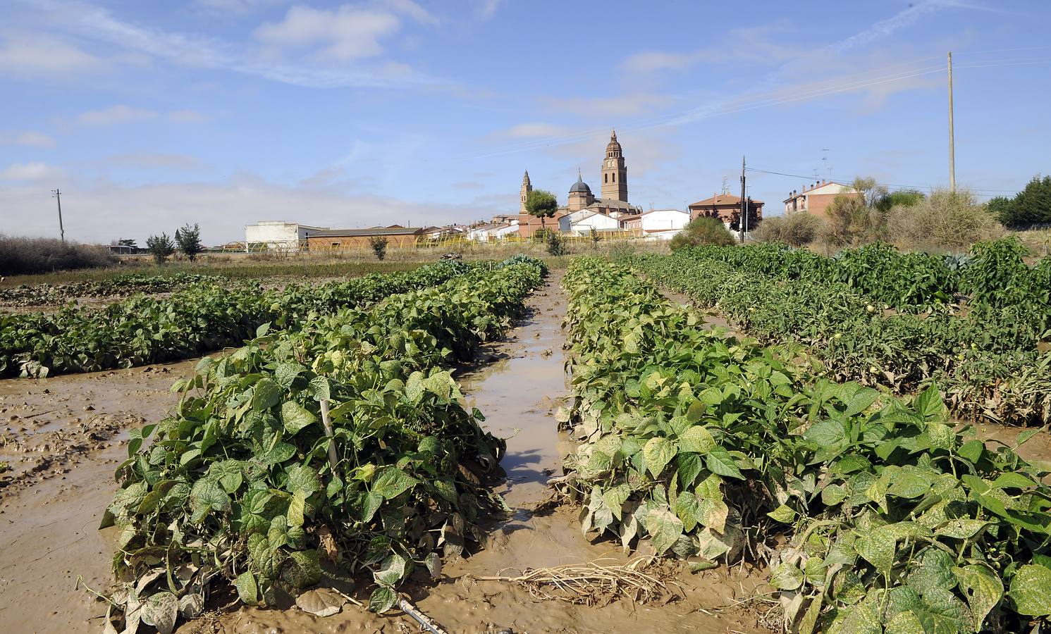 Alaejos sufre los efectos de una fuerte tromba de agua