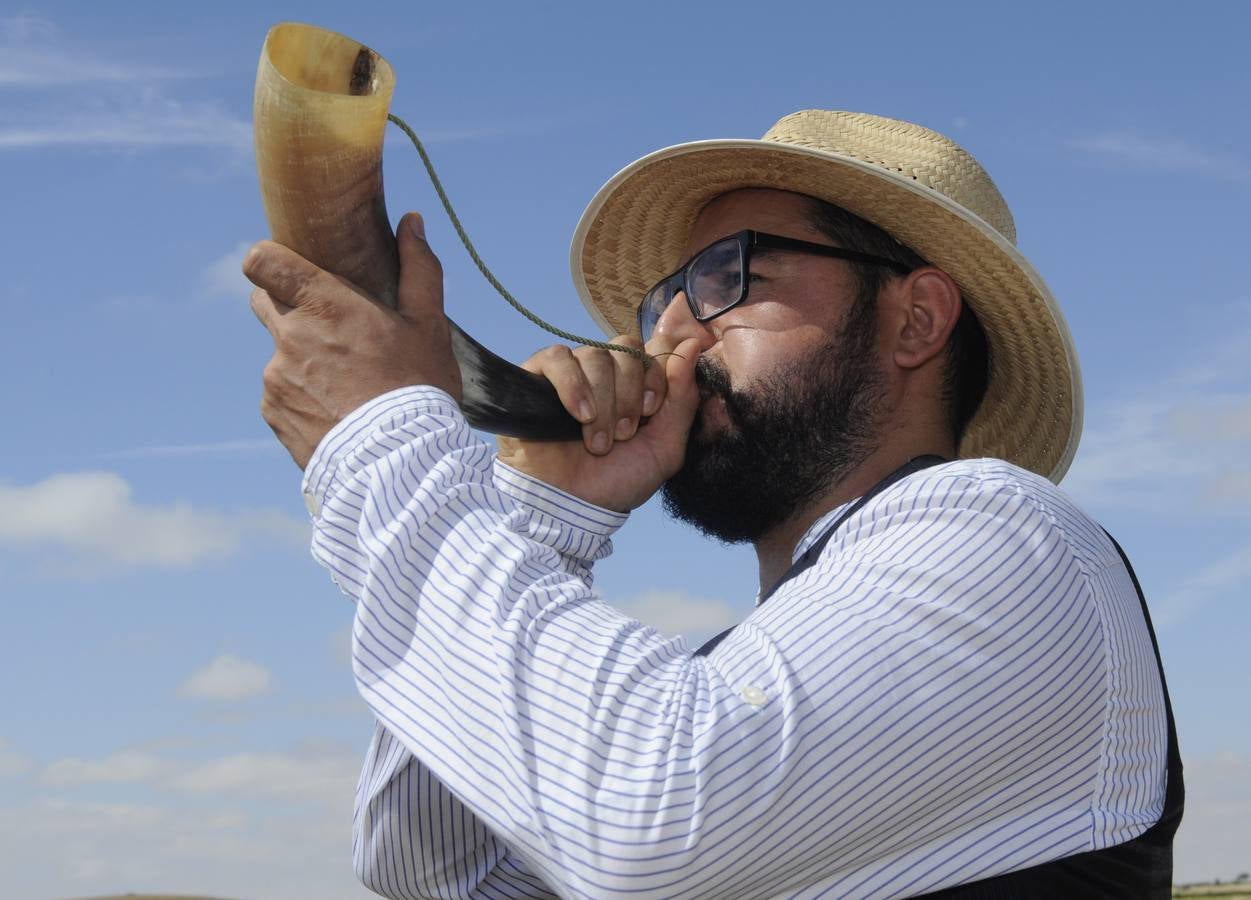 Nava del Rey recrea la siega a mano