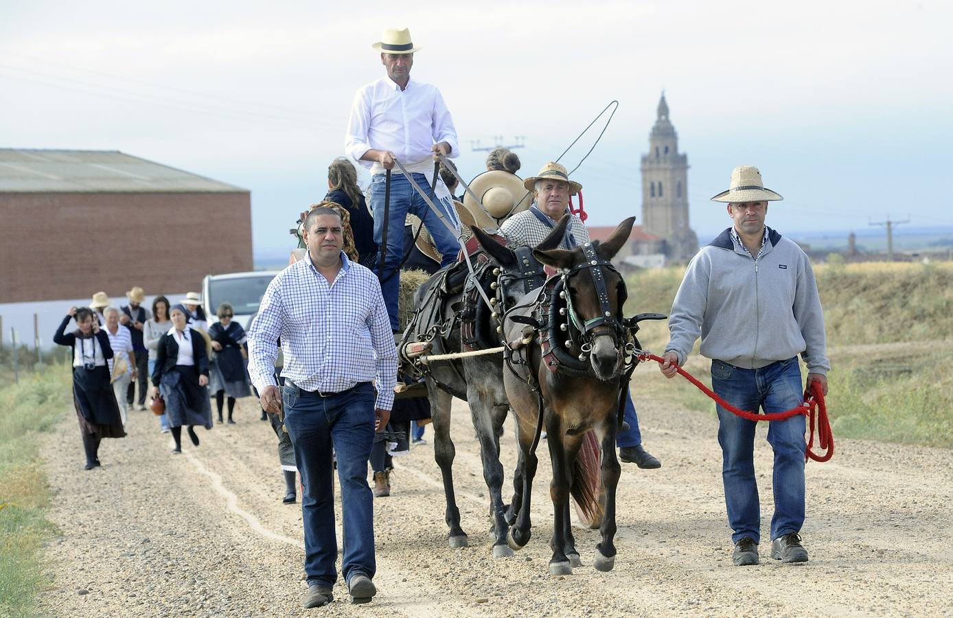 Nava del Rey recrea la siega a mano
