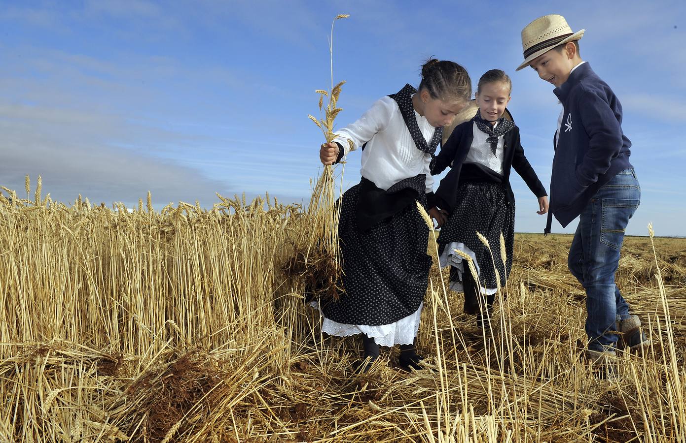 Nava del Rey recrea la siega a mano