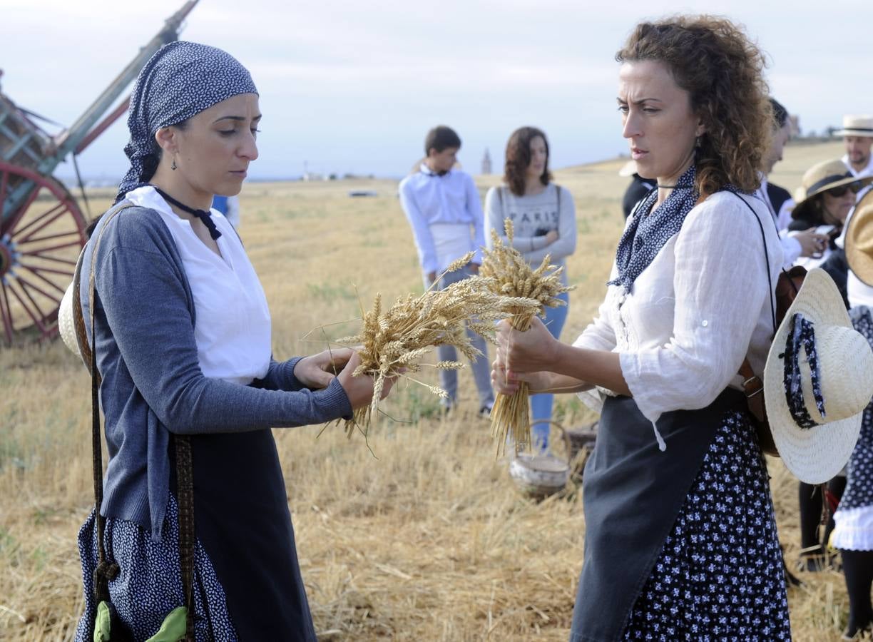 Nava del Rey recrea la siega a mano