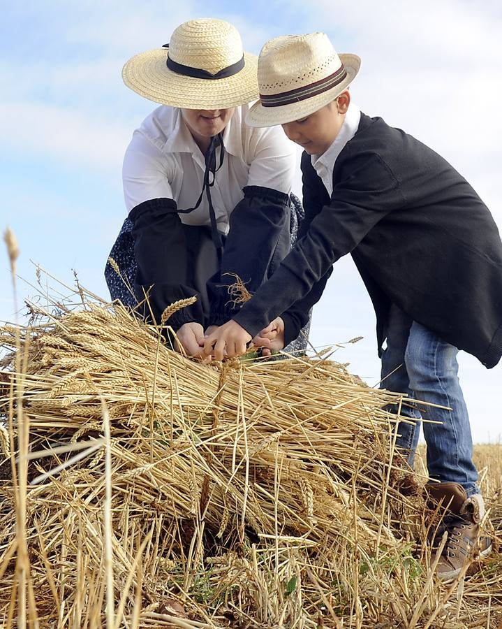 Nava del Rey recrea la siega a mano