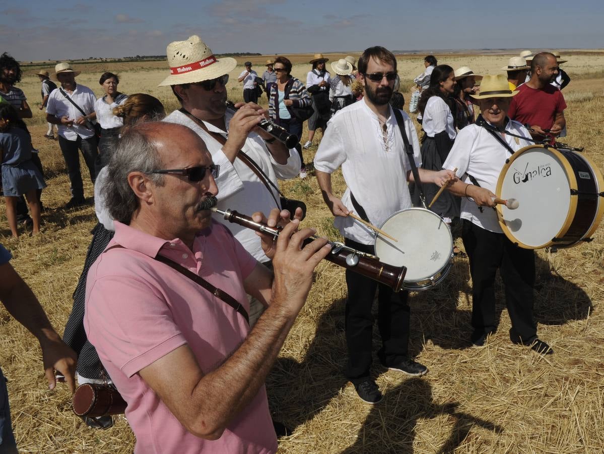 Nava del Rey recrea la siega a mano