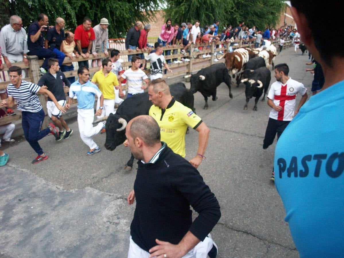 Celebración del segundo día festivo en Íscar