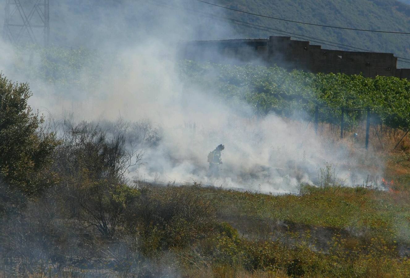 Medios aéreos trabajan en la extinción de un incendio en San Andrés de Montejos