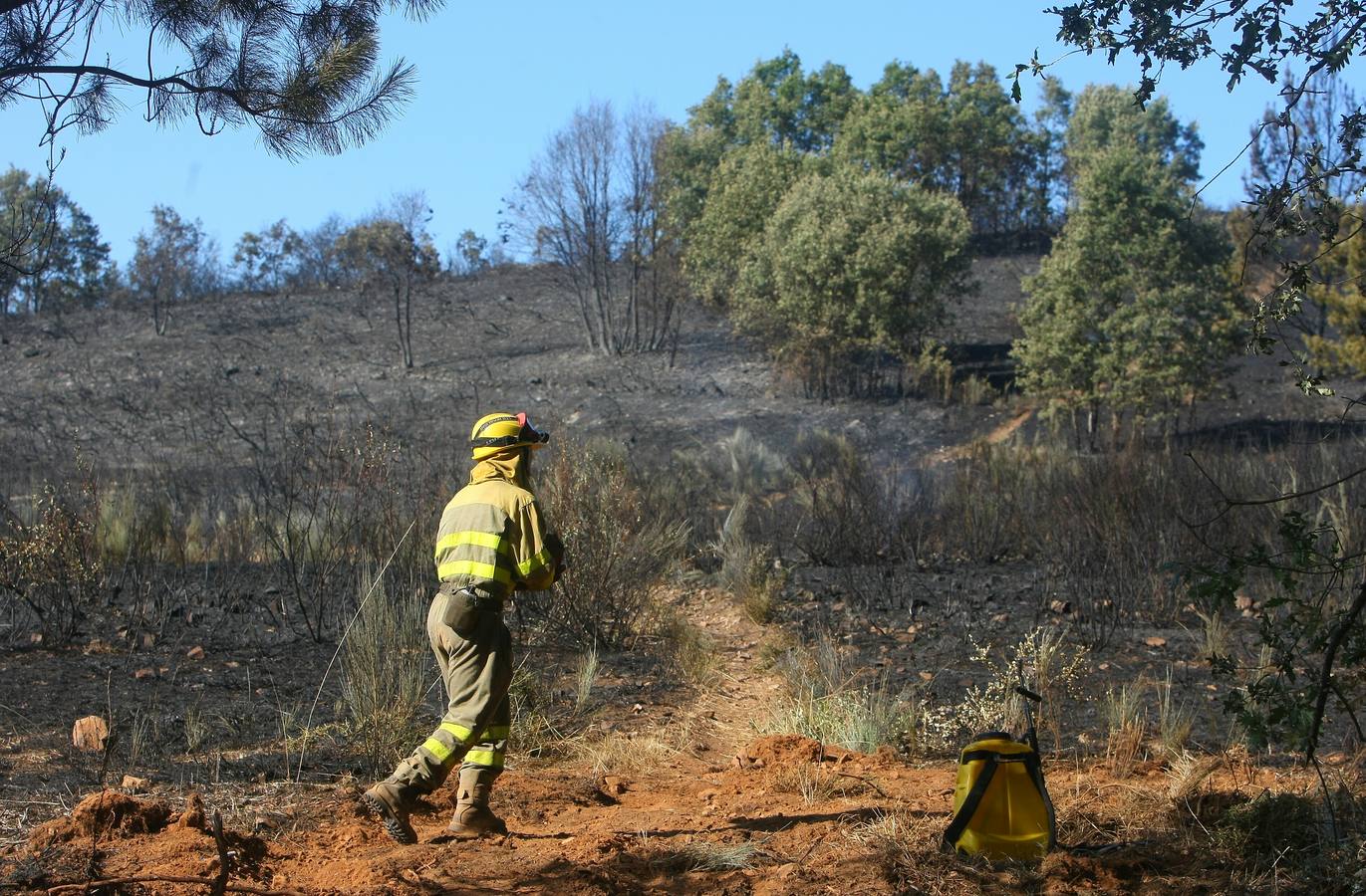 Labores de extinción del incendio de San Andrés de Montejos