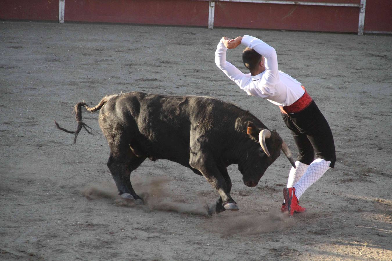 Concurso de cortes de Campaspero (Valladolid)