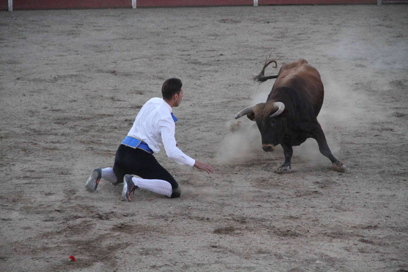 Concurso de cortes de Campaspero (Valladolid)