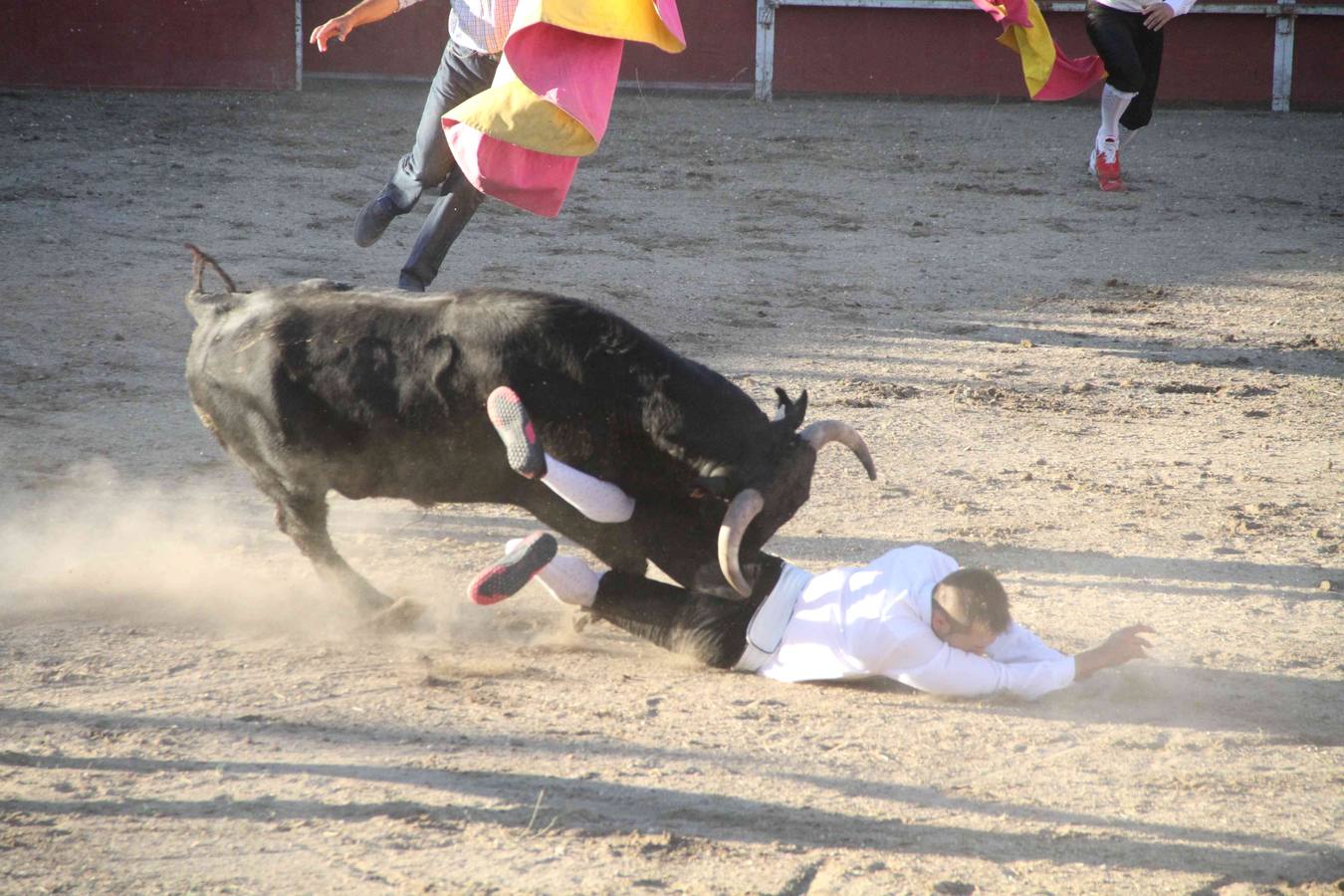 Concurso de cortes de Campaspero (Valladolid)