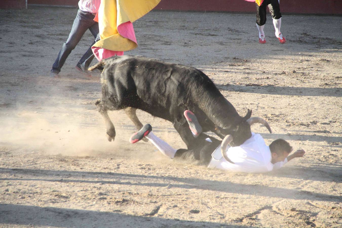 Concurso de cortes de Campaspero (Valladolid)