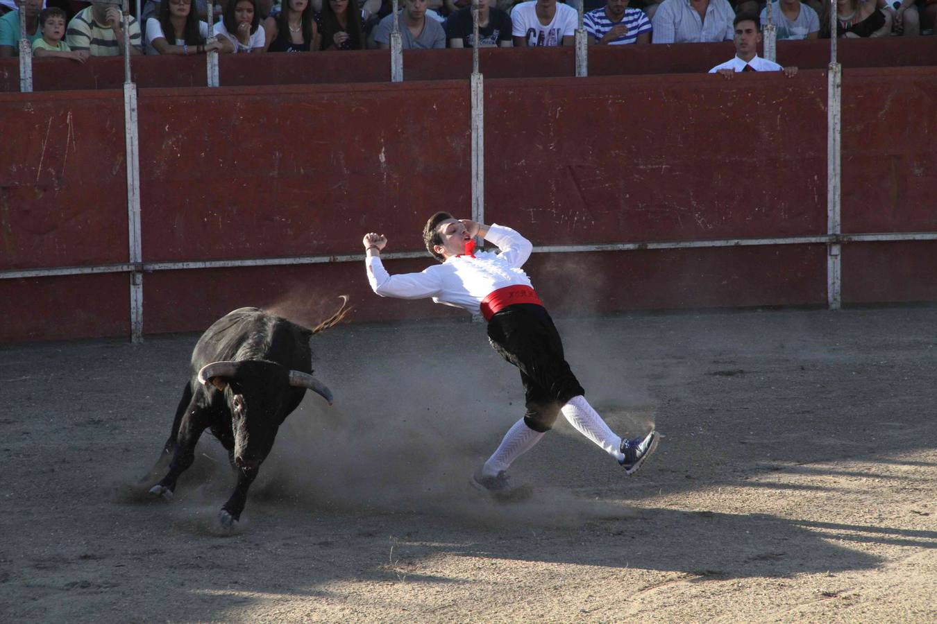 Concurso de cortes de Campaspero (Valladolid)