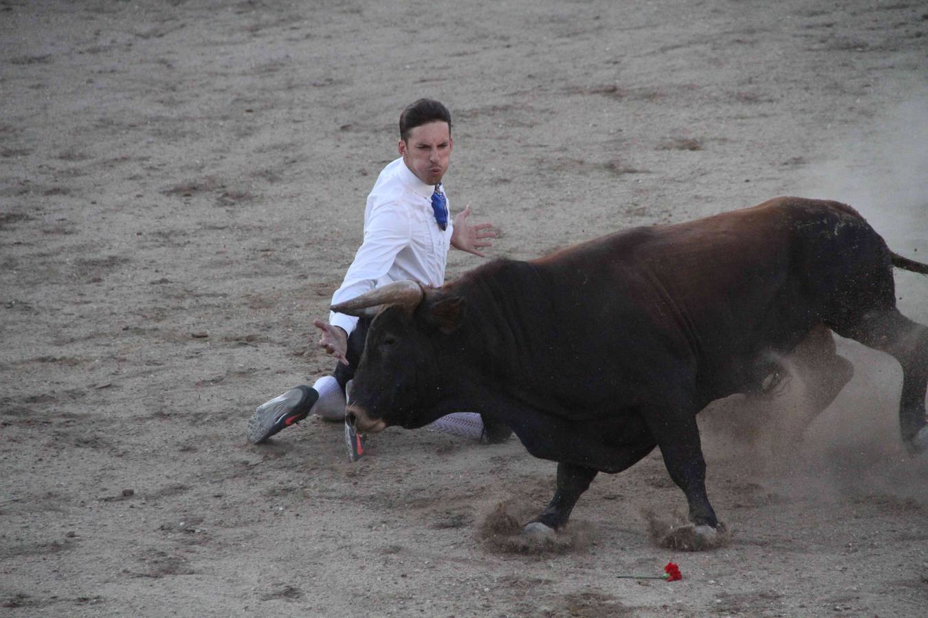 Concurso de cortes de Campaspero (Valladolid)