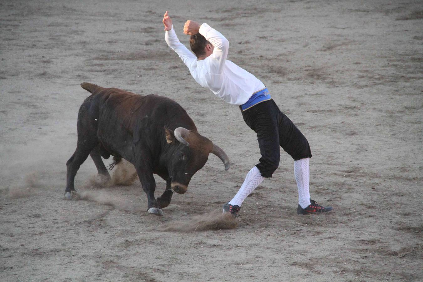 Concurso de cortes de Campaspero (Valladolid)