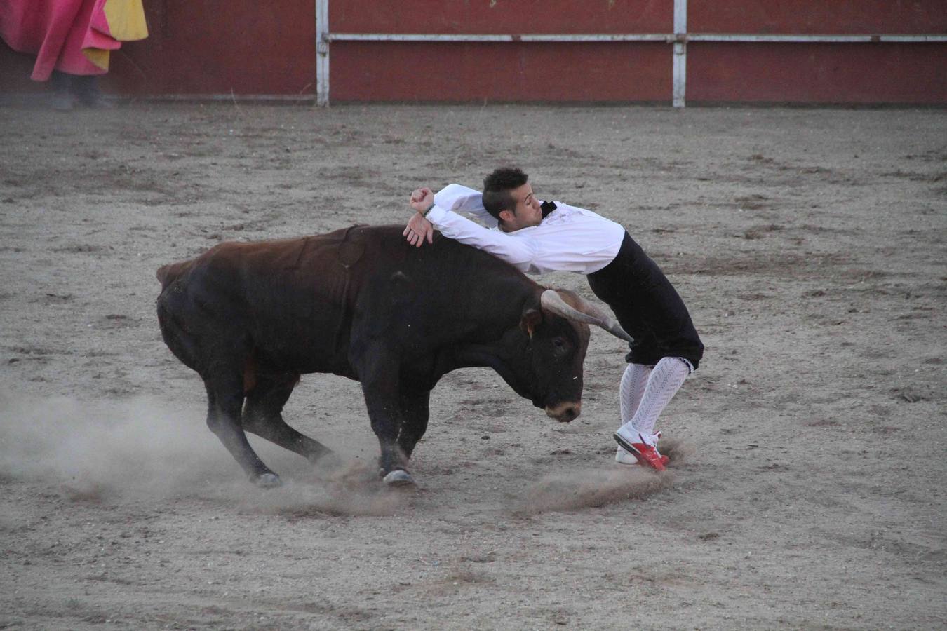 Concurso de cortes de Campaspero (Valladolid)