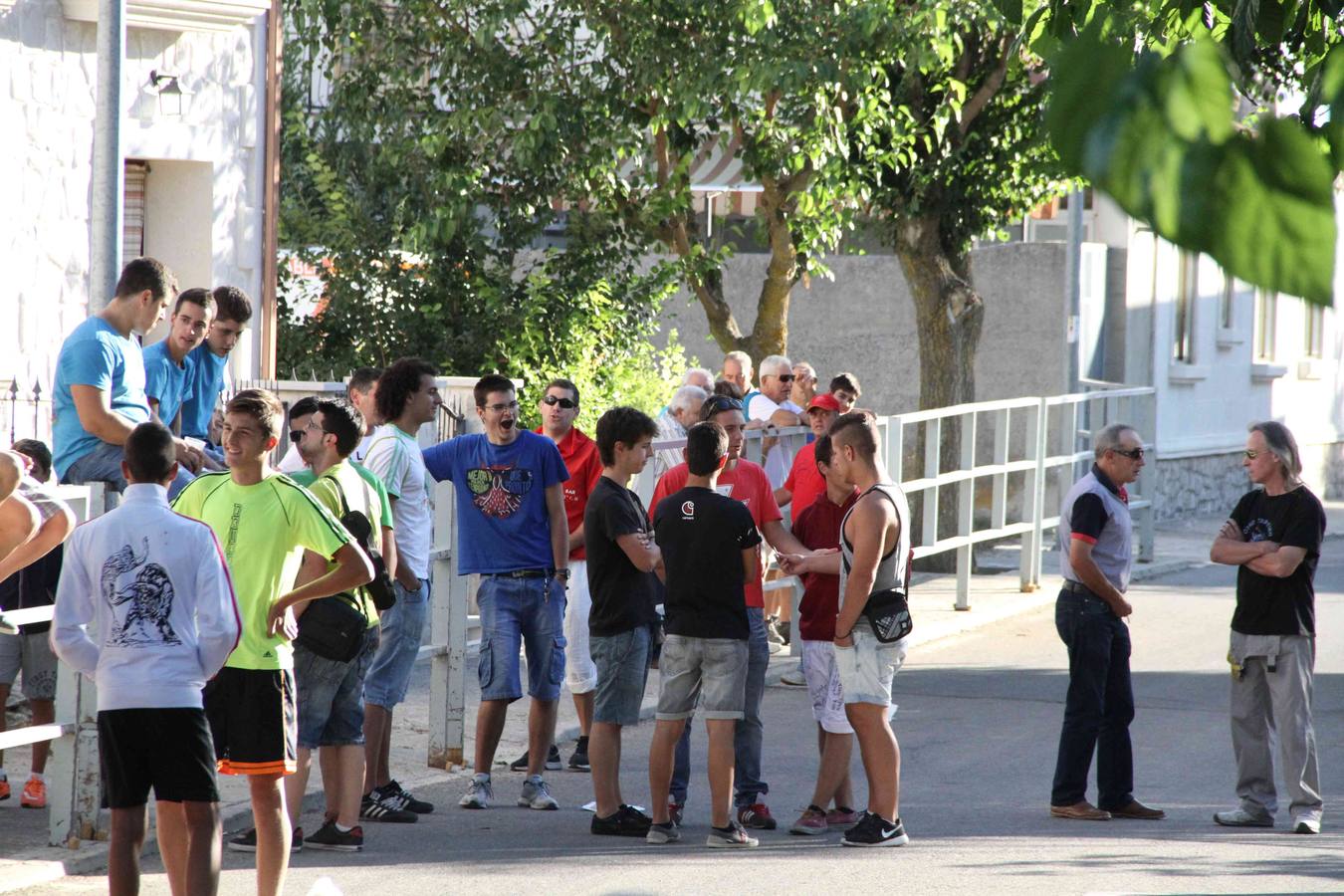 Toro del Páramo y capea matinal en las fiestas de Campaspero (1/2)