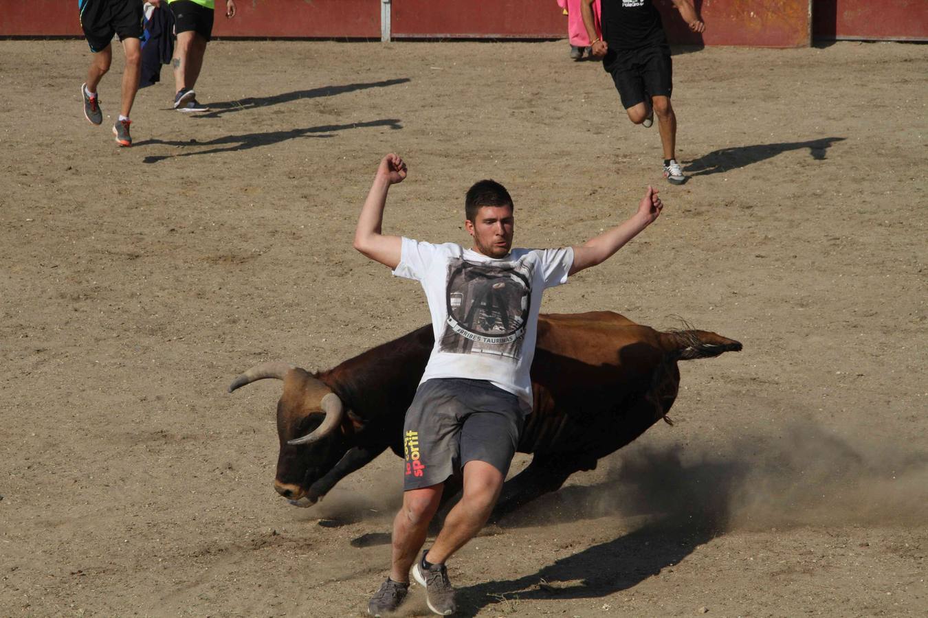 Toro del Páramo y capea matinal en las fiestas de Campaspero (1/2)