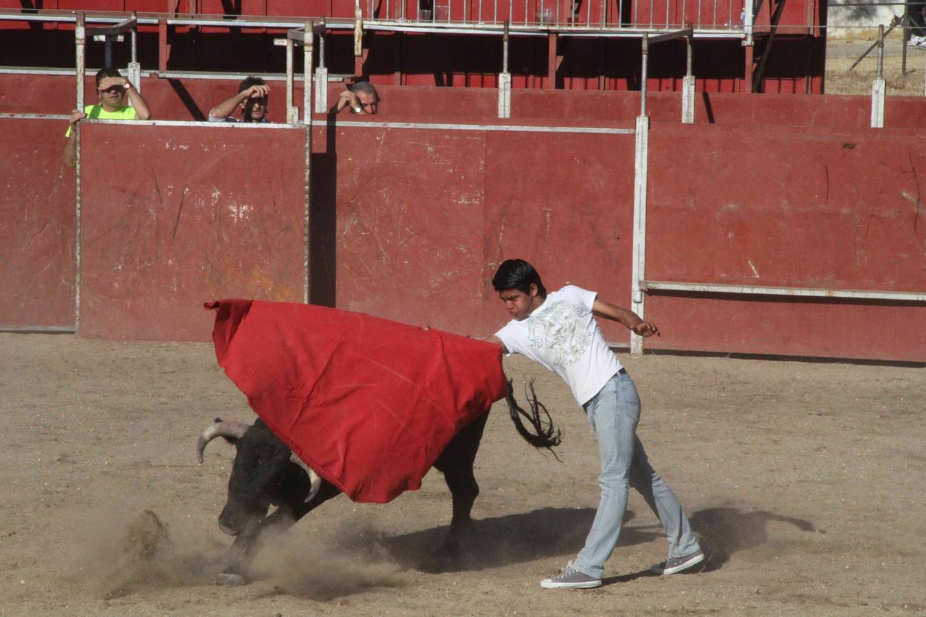 Toro del Páramo y capea matinal en las fiestas de Campaspero (1/2)