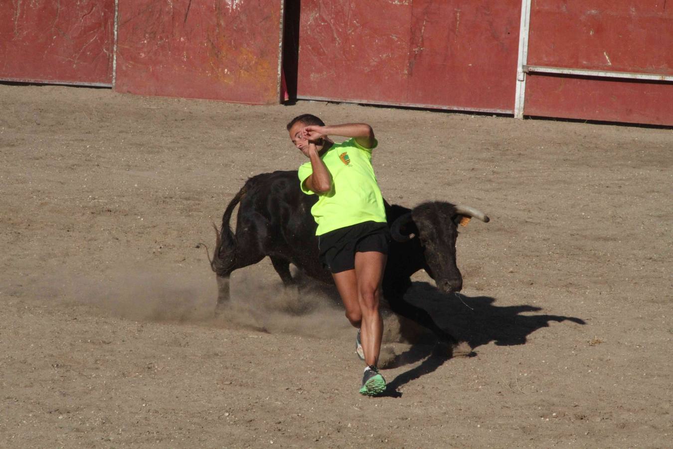 Toro del Páramo y capea matinal en las fiestas de Campaspero (1/2)
