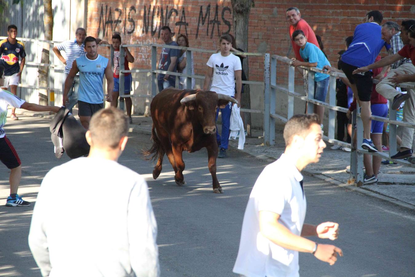 Toro del Páramo y capea matinal en las fiestas de Campaspero (2/2)