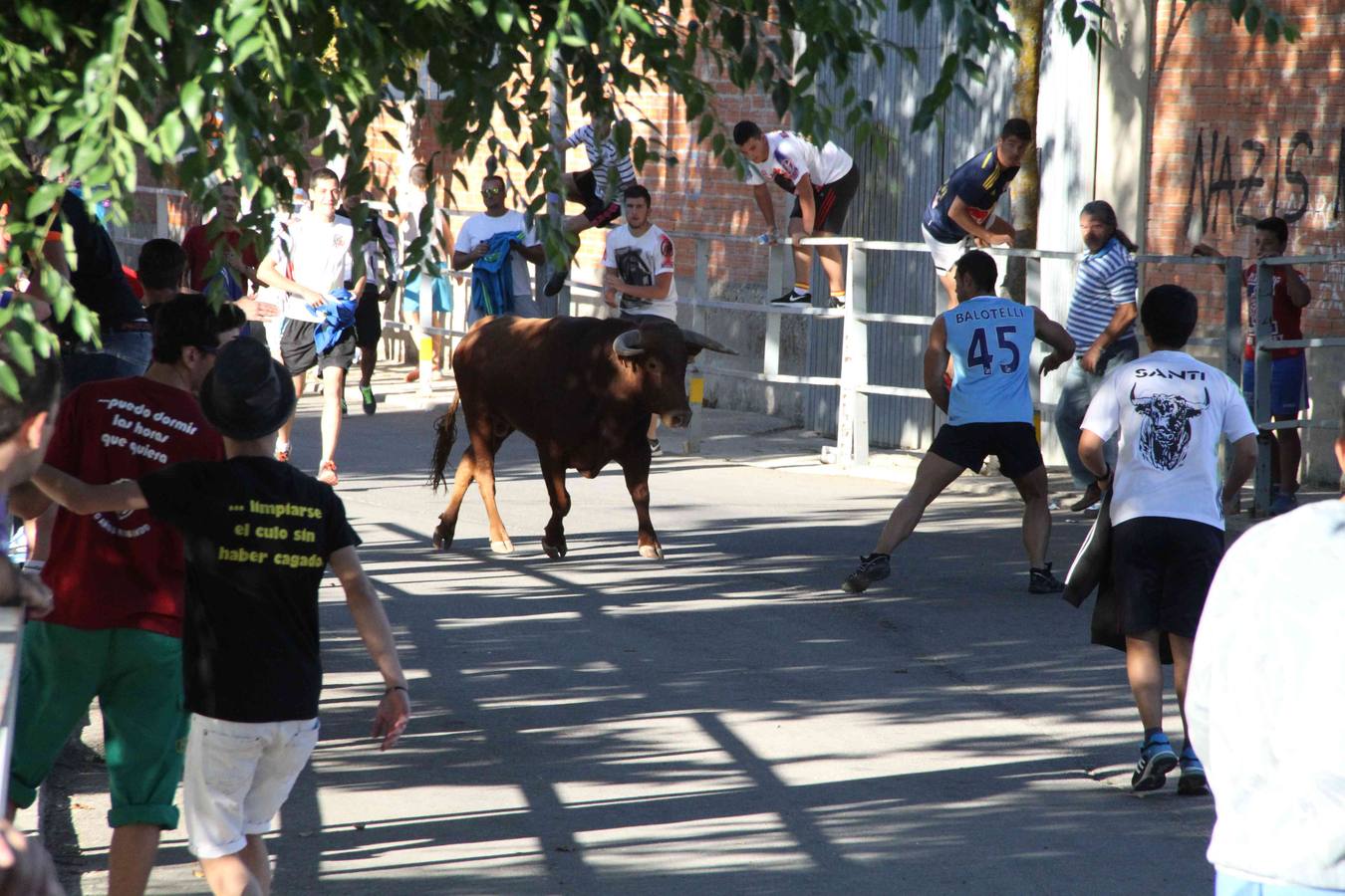 Toro del Páramo y capea matinal en las fiestas de Campaspero (2/2)