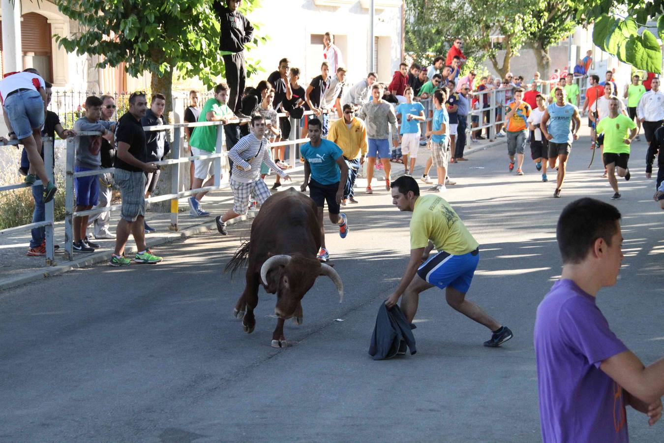 Toro del Páramo y capea matinal en las fiestas de Campaspero (2/2)