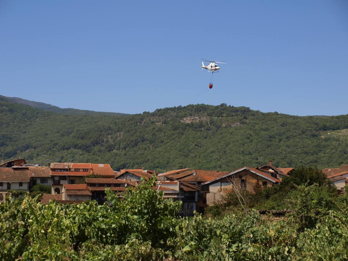 Incendio en Cepeda (Salamanca) 1/2