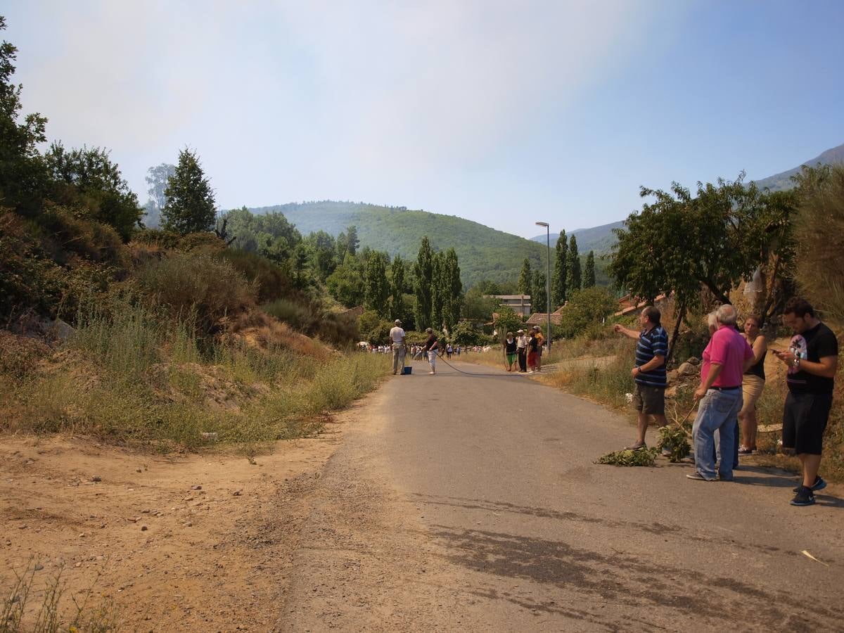 Incendio en Cepeda (Salamanca) 1/2